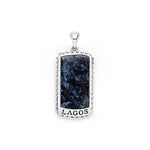 Anthem Pietersite Tag Amulet