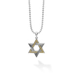 Anthem Two-Tone Star of David Amulet Necklace