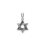 Anthem Small Silver Star of David Amulet