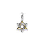 Anthem Small Two-Tone Star of David Amulet